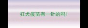 狂犬疫苗有一针的吗