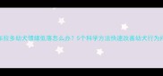 拉布拉多幼犬情绪低落怎么办5个科学方法快速改善幼犬行为问题