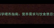 两个月大泰迪的科学喂养指南营养需求与饮食禁忌全附成长食谱