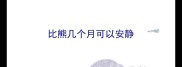 比熊几个月可以安静