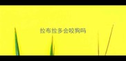 拉布拉多会咬狗吗