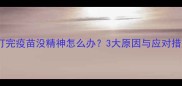 幼犬打完疫苗没精神怎么办3大原因与应对措施全