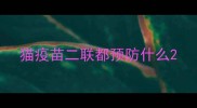 猫疫苗二联都预防什么