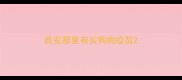 西安那里有买狗狗疫苗