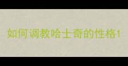 如何调教哈士奇的性格