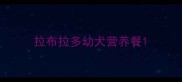 拉布拉多幼犬营养餐