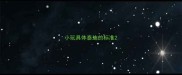 小玩具体泰迪的标准