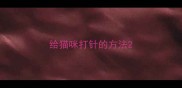 给猫咪打针的方法