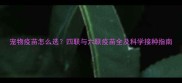 宠物疫苗怎么选四联与六联疫苗全及科学接种指南