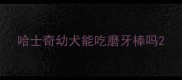 哈士奇幼犬能吃磨牙棒吗