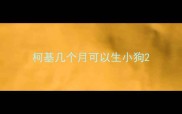 柯基几个月可以生小狗