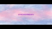 边牧能和别的狗配种吗