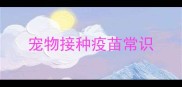 宠物接种疫苗常识