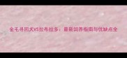 金毛寻回犬VS拉布拉多最新饲养指南与优缺点全