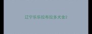 辽宁乐乐拉布拉多犬舍