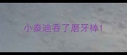 小泰迪吞了磨牙棒