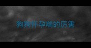 狗狗怀孕喘的厉害