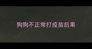 狗狗不正常打疫苗后果