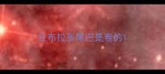 拉布拉多尾巴是卷的