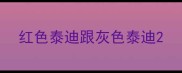 红色泰迪跟灰色泰迪