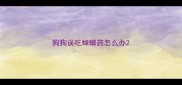 狗狗误吃蟑螂药怎么办