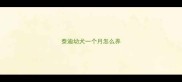 泰迪幼犬一个月怎么养