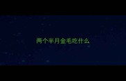 两个半月金毛吃什么