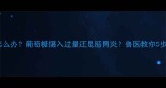 狗狗拉肚子怎么办葡萄糖摄入过量还是肠胃炎兽医教你5步紧急处理法