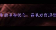 泰迪幼犬出生后毛卷状态卷毛发育规律与护理指南