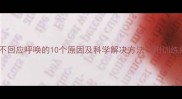 泰迪犬不回应呼唤的10个原因及科学解决方法附训练指南