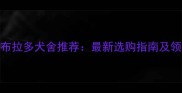 遵义拉布拉多犬舍推荐最新选购指南及领养攻略