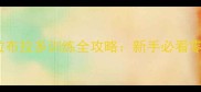 30天速成拉布拉多训练全攻略新手必看零基础指南