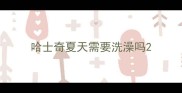 哈士奇夏天需要洗澡吗