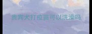 贵宾犬打疫苗可以洗澡吗