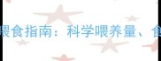 两个月大幼猫每日喂食指南科学喂养量食物选择与注意事项