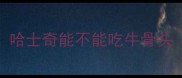 哈士奇能不能吃牛骨头