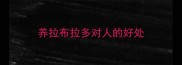 养拉布拉多对人的好处