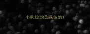 小狗拉的是绿色的