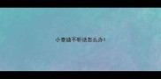 小泰迪不听话怎么办