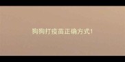 狗狗打疫苗正确方式