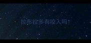 拉布拉多有咬人吗
