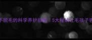 边牧夏天不脱毛的科学养护指南5大秘诀让毛孩子告别炸毛季