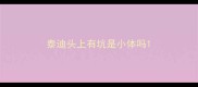 泰迪头上有坑是小体吗