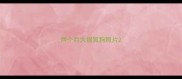 两个月大银狐狗照片