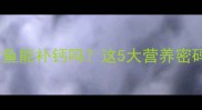 泰迪犬吃三文鱼能补钙吗这5大营养密码和禁忌全