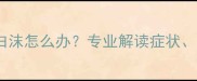 拉布拉多干咳吐白沫怎么办专业解读症状原因与应对方案