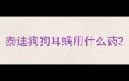 泰迪狗狗耳螨用什么药