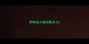狗狗来大姨妈要多久