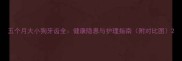 五个月大小狗牙齿全健康隐患与护理指南附对比图