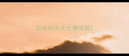 拉布拉多犬大便很臭